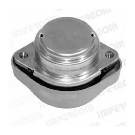 Supporto cambio automatico