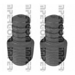 Kit parapolvere ammortizzatore anteriore