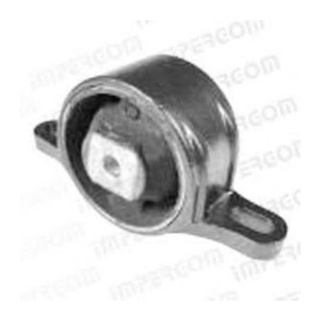 Supporto cambio automatico