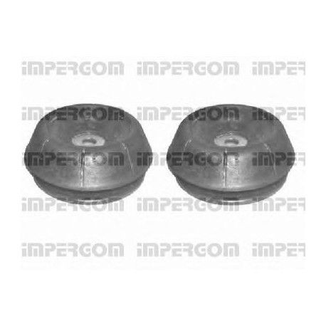 Kit riparazione cuscinetto ammortizzatore anteriore