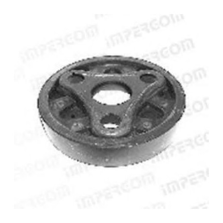 Giunto elastico albero trasmissione