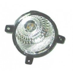 Retronebbia passeggero - dx