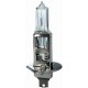 Lampadina H1 12/55