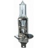 Lampadina H1 12/55
