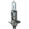 Lampadina H1 24/70