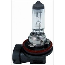 Lampadina H11 12/55