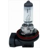 Lampadina H11 12/55