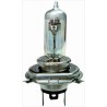 Lampadina H4 12/60/55 day view