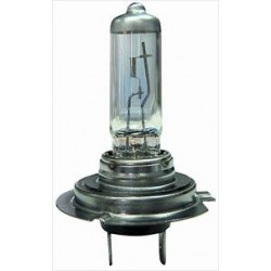 Lampadina H7 12/55 day view