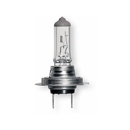 Lampadina H7 24V 70W