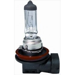 Lampadina H8 12/35