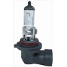 Lampadina HB4 9006 12/55