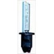 Lampadina Xenon H1 6000K