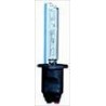 Lampadina Xenon H1 6000K