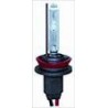 Lampadina Xenon H11 6000K