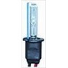 Lampadina Xenon H3 6000K
