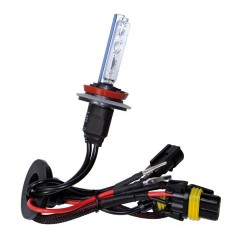 12/24V Lampadina HID Xenon 8.000K - H9 - 1 pezzo - Scatola
