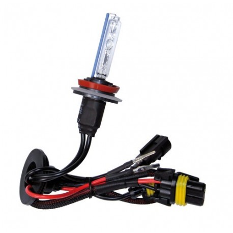 12/24V Lampadina HID Xenon 8.000K - H9 - 1 pezzo - Scatola