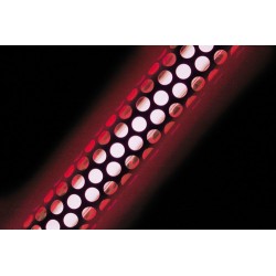 Neox lampada neon 12V - 45 cm - rosso