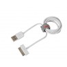 Cavo Usb - Apple Dock 30 Pin - 100 cm