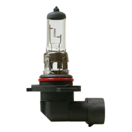 12V Lampada alogena - H10 - 42W - PY20d - 1 pezzo - Scatola