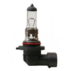 12V Lampada alogena - H12 - 53W - PZ20d - 1 pezzo in blister