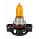 12V Lampada alogena - PSY24W - 24W - PG20-4 - 1 pezzo - Scatola - Arancio