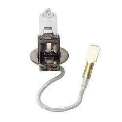 12V Lampada alogena - H3 - 100W - PK22s - 1 pezzo in blister