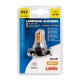 12V Lampada alogena - PSY24W - 24W - PG20-4 - 1 pezzo in blister - Arancio