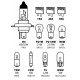 Kit lampade di ricambio 11 pezzo alogena H4 - 12V