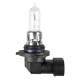 12V Lampada alogena - HB3 9005 - 60W - P20d - 1 pezzo in blister