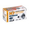 24V Lampada alogena Long Life - H7 - 70W - PX26d - 1 pezzo - Scatola
