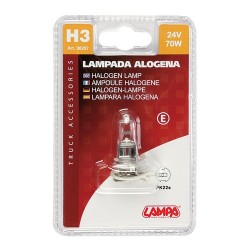 24V Lampada alogena - H3 - 70W - PK22s - 1 pezzo in blister