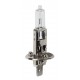 24V Lampada alogena Pro - H1 - 70W - P14.5s - 1 pezzo - Scatola