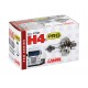 24V Lampada alogena Pro - H4 - 75/70W - P43t - 1 pezzo - Scatola