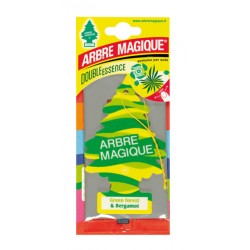 Arbre Magique - Green Forest e Bergamot