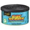 Espositore con 12 deodoranti Car Scents - Laguna breeze