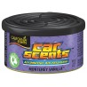 Espositore con 12 deodoranti Car Scents - Monterey vanilla