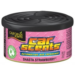 Espositore con 12 deodoranti Car Scents - Shasta Strawberry