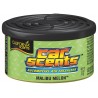 Espositore con 12 deodoranti Car Scents - Malibu melon