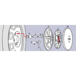 Kit adattatori per bulloni Spikes Spider - 17 mm