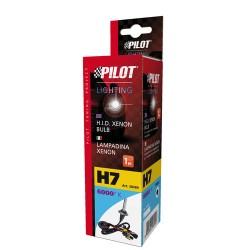 12/24V Lampadina HID Xenon 6.000K - H7 - 1 pezzo - Scatola