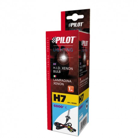 12/24V Lampadina HID Xenon 6.000K - H7 - 1 pezzo - Scatola