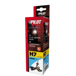 12/24V Lampadina HID Xenon 8.000K - H7 - 1 pezzo - Scatola