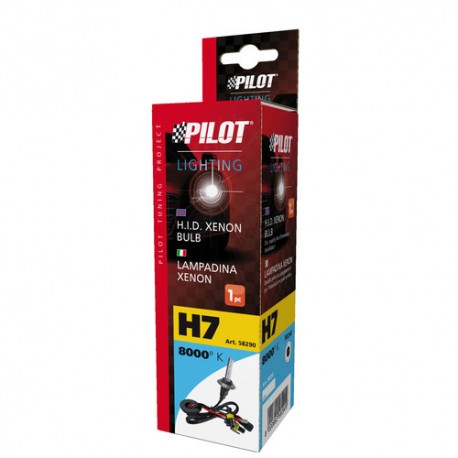 12/24V Lampadina HID Xenon 8.000K - H7 - 1 pezzo - Scatola