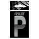 Scritta 3D 70 mm lettera P