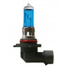 12V Lampada alogena Blu-Xe - H10 - 42W - PY20d - 2 pz - Scatola Plast.