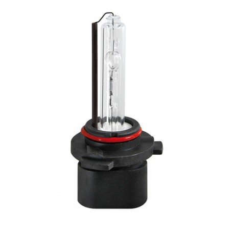 12V Lampada ricambio Xenon - HB3 - Sfuso