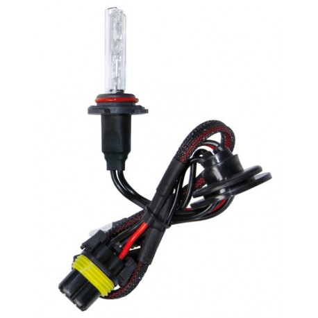 12/24V Lampadina HID Xenon 6.000K - H10 - 1 pezzo - Scatola