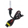 12/24V Lampadina HID Xenon 6.000K - H10 - 1 pezzo - Scatola